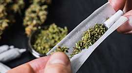 Timeline: historia del narcotrafico