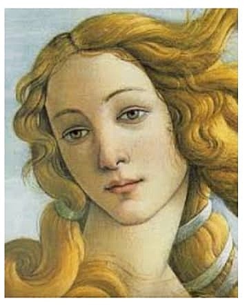 Soneto XXIII (En tanto rosa y azucena).