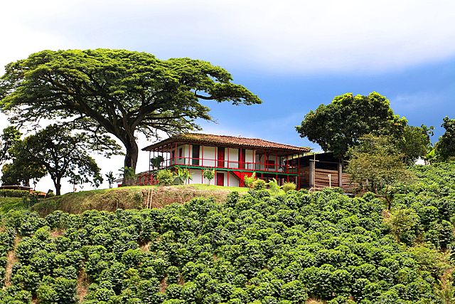 REGION ANDINA: Paisaje cultural cafetero.