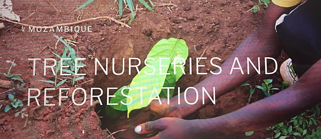 Tree Nursery and Reforestation the purpose of project is improving the livelihood and increasing the food security for vulnerable groups in the area.