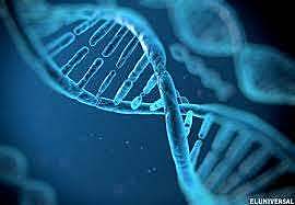 DESARROLLO DE LA GENÉTICA Y DESCUBRIMIENTO DEL ADN