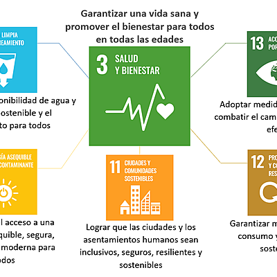 Timeline: Determinantes de la Salud