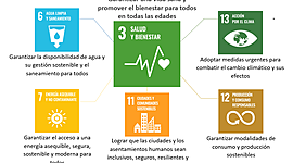 Timeline: Determinantes de la Salud