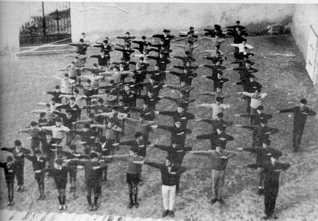 Rendimiento de la juventud