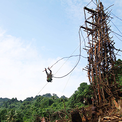 Timeline: Land Diving Ritual