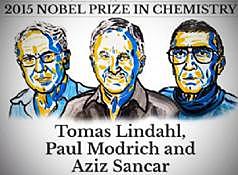 Mecanismos de reparación del ADN