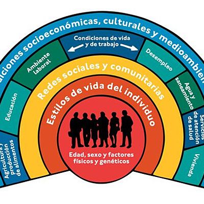 Timeline: Factores determinantes de la salud