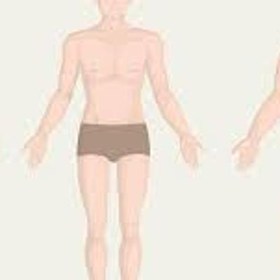 Timeline: La Antropometría y El Somatotipo