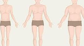 Timeline: La Antropometría y El Somatotipo