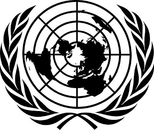 Comité Especial para la Realización de la Declaracion sobre el Otorgamiento de la Independencia de los Pueblos Coloniales