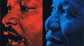 Timeline: Hitos de los Derechos y Protestas