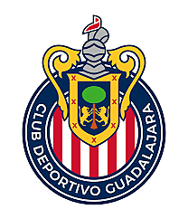 Me rechazaron de chivas