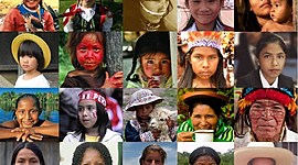 Timeline: Saberes en torno a la diversidad  .                   Martha Yaneth Camacho/Psicología )