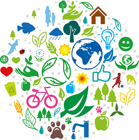 PRIMER PROGRAMA DE MEDIOAMBIENTE DE LA UE