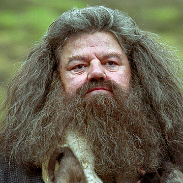 10th Birthday: Hagrid rescues Harry from the Dursleys