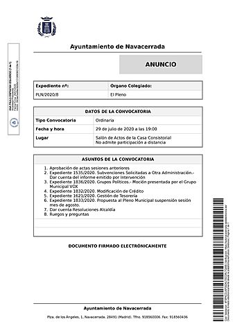 Sesión plenaria 29-7-20 19 h