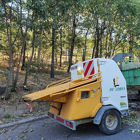 Tratamientos silvícolas de prevención de incendios forestales