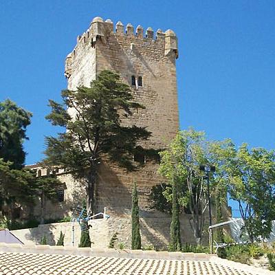 Timeline: Salva Jurado Varona