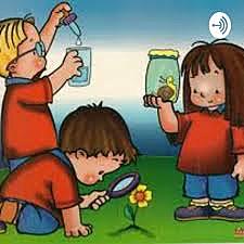 Aprendizaje por descubrimiento