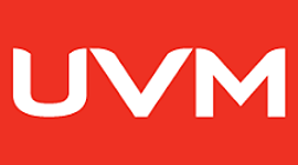 Timeline: MEXI-DIOSES_Cancún