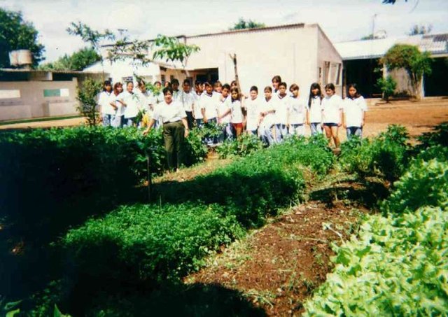 CULTIVOS EN EL COLEGIO