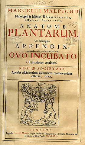Anatome Plantarum