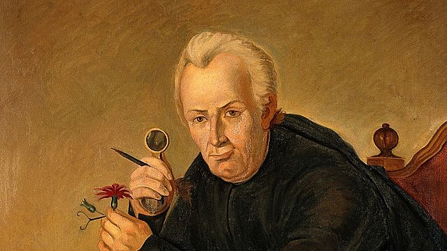 José Celestino Mutis