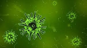 George Wells Beadle y Edward Lawrie Tatum