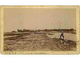 Georgia Hurricane of 1893 (GA)