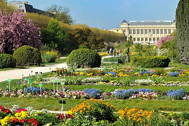 Trabajo en el Jardin des plantes