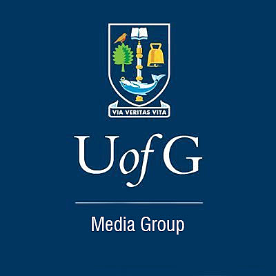 Estudio de las noticias y del discurso de los medios.