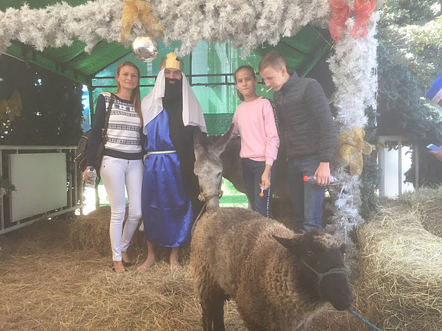 Nos venimos a bogota