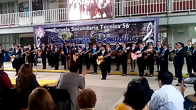 Director de la rondalla monumental