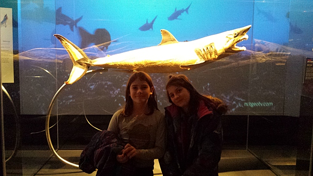 Au centre des sciences de montréal