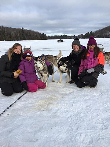 Du traîneau à chiens