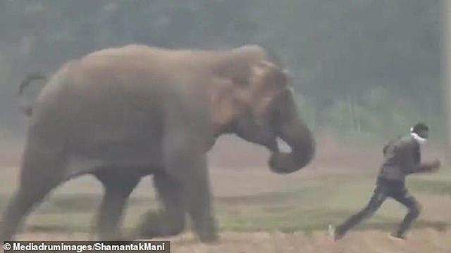 El rey sufre un accidente