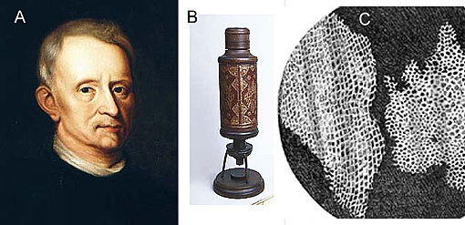 Robert Hooke