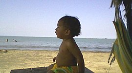 Timeline: timeline of my most important events