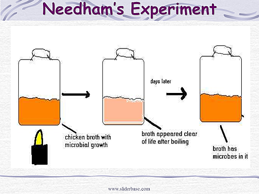 John Needham put boiled nutrient broth into covered flasks
