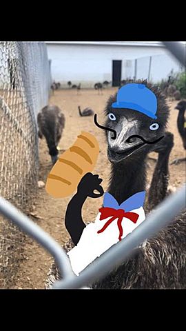 Voyage avec ma meilleure amie #3