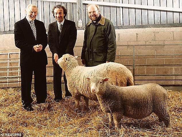 Wilmut and Campbell.