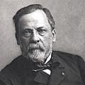 Louis Pasteur.