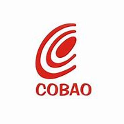 Timeline: Epocas literarias. Nicolas 304