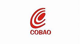 Timeline: Epocas literarias. Nicolas 304