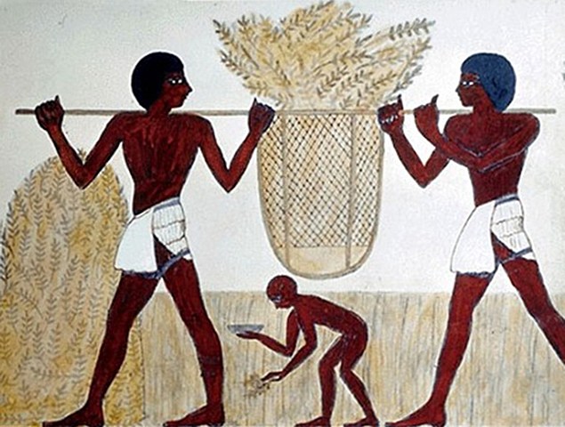 Descubrimiento Levadura