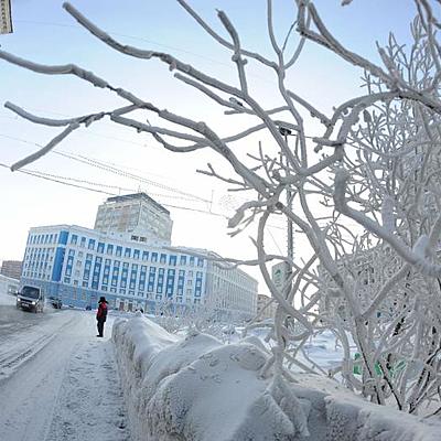 Timeline: Ambiente y globalización