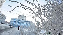 Timeline: Ambiente y globalización