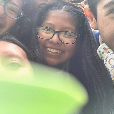 Timeline: Línea de vida