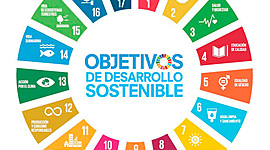 Timeline: Los Objetivos de Desarrollo Sostenible