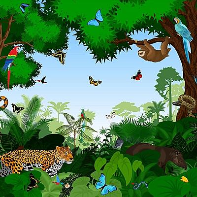 Timeline: LA TAXONOMIA Y LA SISTEMATICA